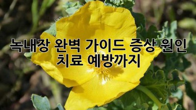 녹내장, 완벽 가이드: 증상, 원인, 치료, 예방까지