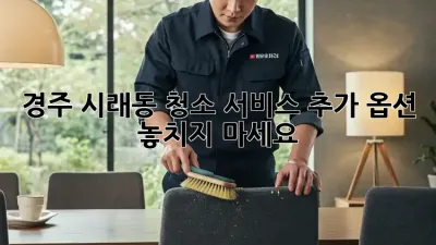 경주 시래동 청소 서비스 추가 옵션: 놓치지 마세요!